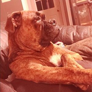 Meet your Posher, Austin